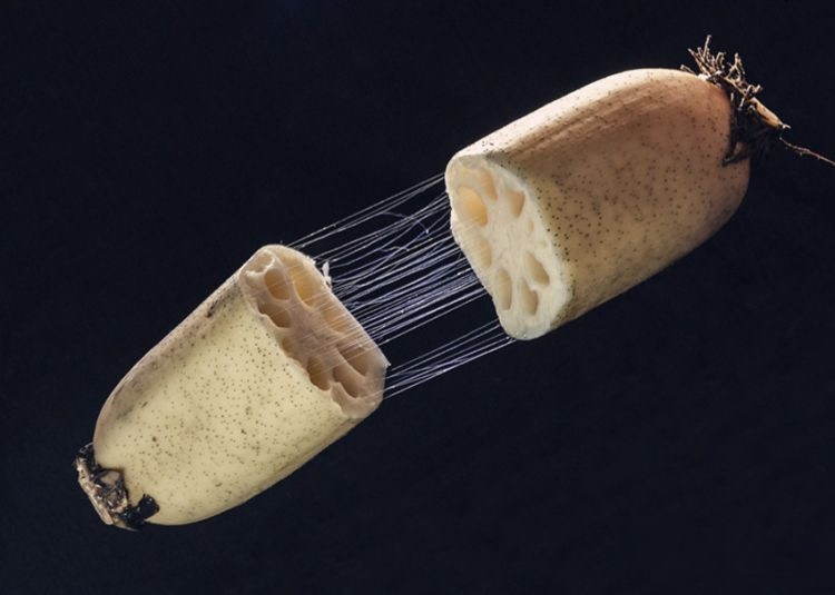 平安银行信用卡中心_商城_网上申请_电话_进