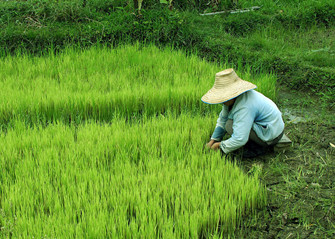 中国银行信用卡中心_商城_网上申请_电话_进