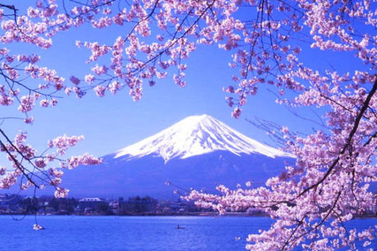 盘点适合出国旅游的信用卡_信用卡攻略_贷款