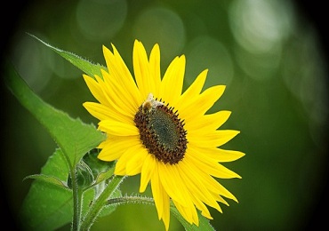 国管公积金贷款流程_贷款知识 - 融360